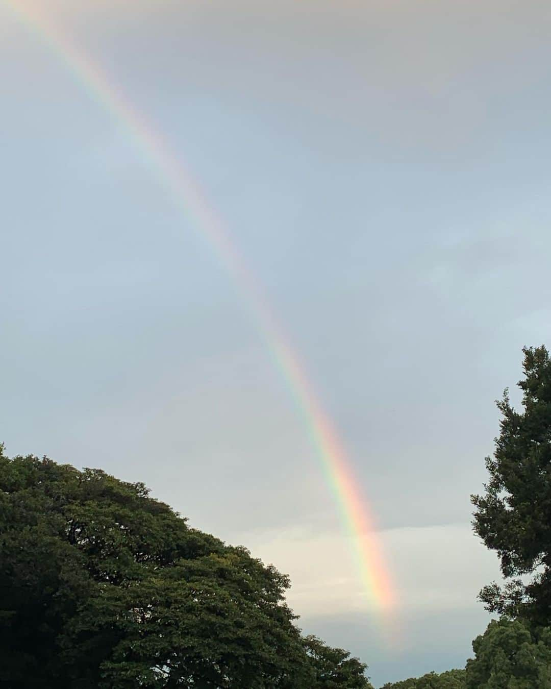 麻生あくらさんのインスタグラム写真 - (麻生あくらInstagram)「😍虹の彼方に🌈 💙🧡💜❤️💚」8月24日 15時41分 - akura_akura