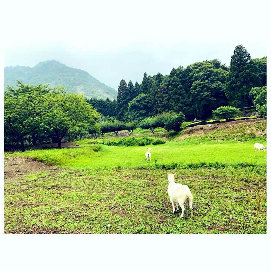 馬場園梓さんのインスタグラム写真 - (馬場園梓Instagram)「へい♪  今朝の CBC「花咲かタイムズ」をご覧くださいましたみなさま、誠にありがとうございました！  直美ちゃんとの推しタビでは、三重県はいなべ市にお邪魔しました☺︎！ 自然豊かで、美味しいものがたくさんあって最高˚✧₊ ！  花咲かタイムズのHPにお店の詳細が載っていますので、ぜひ行ってみてください！  そして、 こちらのステキなワンピースは @blueoceanoffice1997 さんとこのです！  ですので  ルン♪  #yeah #exciting #CBC #花咲かタイムズ #推しタビ #三重県 #いなべ市 #大自然 #ワンピース #blueocean #球体 #ご機嫌 #ルン♪」8月24日 15時42分 - babazonoazusa