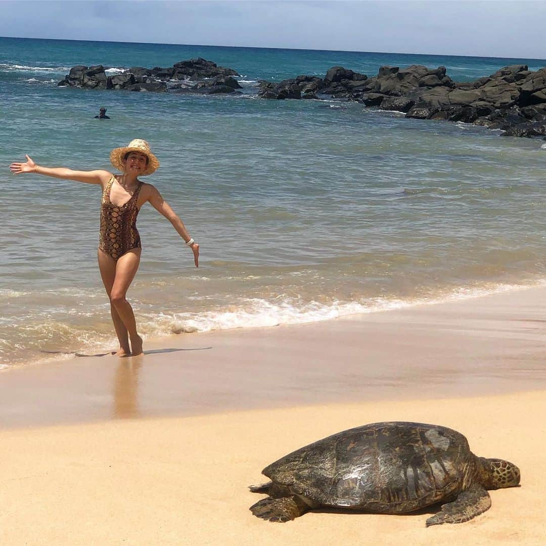 コートニー・マンスールのインスタグラム：「Dude 🐢 . . . . . . . #hawaii #hawaiilife #oahu #northshore #seaturtle #turtles #vacation #turtlebeach #beach #dude #crush #findingnemo」