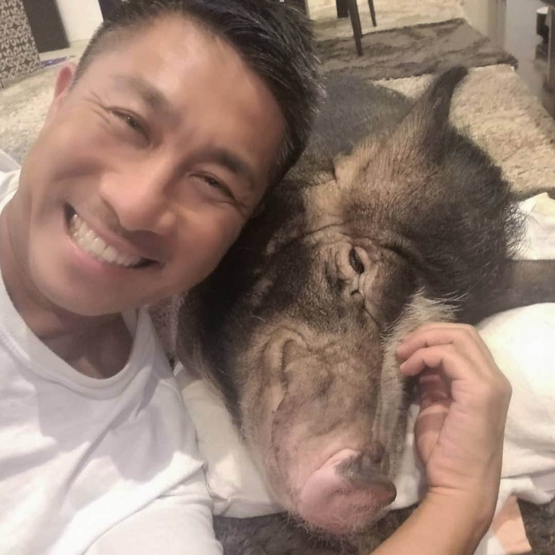 前園真聖さんのインスタグラム写真 - (前園真聖Instagram)「ただいま😆 #セブン #ミニブタ #minipig #minipiglife  #前園真聖」8月24日 21時33分 - maezono_masakiyo