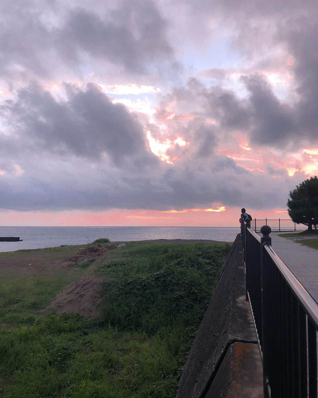 須田アンナさんのインスタグラム写真 - (須田アンナInstagram)「. summer vibes💙💦🦋🌻 海と空の近くは、 時間がゆっくり流れているように 感じれて大好き！ film現像するの楽しみ。:-)」8月24日 21時28分 - annastagram.official