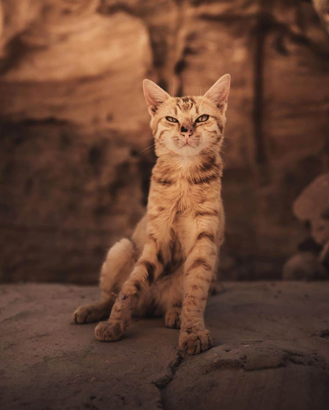 Discover Earthさんのインスタグラム写真 - (Discover EarthInstagram)「Jordan on my mind 🇯🇴 "There is this magic that can only be found in this country. To understand what I mean you have to visit this incredible place on your own." Have you ever been to Jordan?  Tag a friend who's never been here to show him the amazing view! — 📍#DiscoverJordan — 📸 Photos and caption by @muenchmax」8月24日 16時25分 - discoverearth