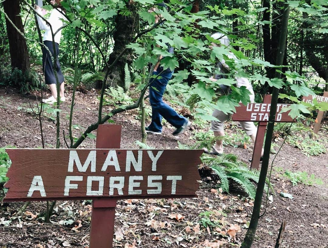 大橋菜央さんのインスタグラム写真 - (大橋菜央Instagram)「“Do you know treasure man who is living this forest?  He he he” Grandma’s garden turned into the adventure world!  Yes! It was a heart-warming day♡ . . . “ここの森に住んでいるTreasure manは知ってる？きっと楽しいことが起こると思うわ！ふふふ” と言ってたGrandmaのクレア . なんと子供達のために仕掛けてくれていたのは Treasure hunt💎 . -“I’m a treasure man - go to bike for your first clue”- . りんちゃんが自転車にかけよるとそこには次のメッセージが🚲 . ”lizard”や”window” “signboard”など 普通の庭にはない単語が沢山入っているのに 探すと全部見つかる面白い庭 . 宝を探しながら、クレアのアートを辿りながら、大きな木の後ろにみつけたのは おもちゃがぎっしり入った赤い袋 . 喜んだのは子供たちだけじゃなく 一緒に宝を探した大人も、仕掛けた大人も . 何年何十年たっても覚えているのは きっとこんな日のこと☺️ . . . #bbq #treasurehunter #宝さがし #生後18ヶ月 #1歳6ヶ月 #1歳半 #sunglassesbaby #microfashion #summer2019 #ポートランド  #oregon  #たれ眉 #portlandoregon #夏休み2019 #beautifulnature #ポートランド生活 #portlandtrip #ポートランド #夏休み #naoliving_portland」8月24日 16時49分 - naoliving