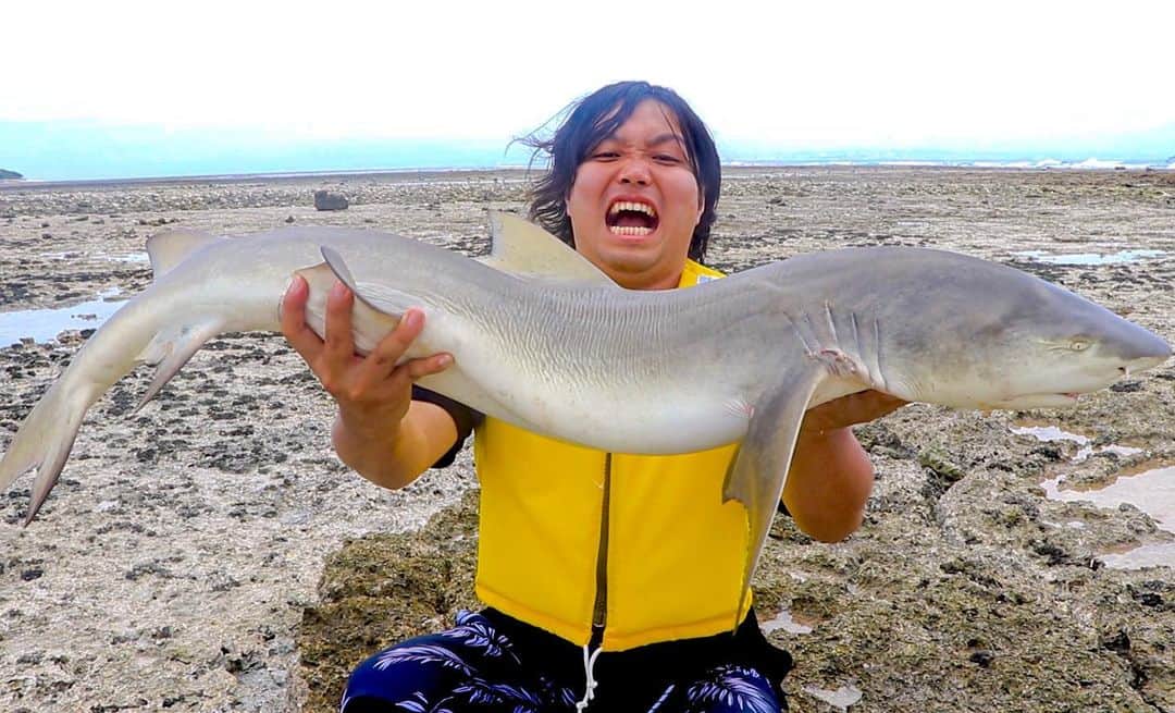 トミーさんのインスタグラム写真 - (トミーInstagram)「無人島でついにサメを釣りました！！ 今夜最終話です！  #無人島 #サメ #釣り #水溜りボンド」8月24日 16時56分 - tommymizutamaribond