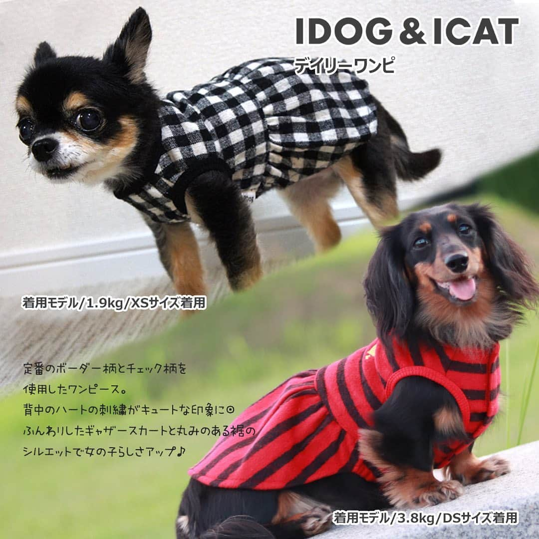 iDog&iCatさんのインスタグラム写真 - (iDog&iCatInstagram)「. 【1枚1080円～大人気プチプラウェア発売開始！】 . IDOG&ICATでは8/24より、販売開始しております♪ 楽天店舗URL：https://item.rakuten.co.jp/idog/c/0000000129/ . これから暑さも収まってくる頃です！ 秋口から着れるウェアをご用意しました♪ . ヘビロテ間違いなしのハイネックからキュートなワンピースまで！ 安くてカワイイウェアが3型UP♪ 在庫限りで販売終了になるので、お気に入りが見つかりましたら、お早目にどうぞ★ . イベントの詳細はプロフィールのURLからご確認ください♪ . . IDOG&ICAT公式LINEをお友達登録でお得な情報をゲットしよう！LINE ID『 ＠idogicat 』で検索♪ . #iDog #iDogiCat #iCat #ペット服 #ドッグウェア #新作 #プチプラ #犬服 #犬の服 #犬の服iDog #犬 #超小型犬 #小型犬 #中型犬  #キャットウェア #猫服 #猫の服 #猫の服iCat #猫#わんすたぐらむ #dog #にゃんすたぐらむ #cat #チワワ#トイプードル #ミニチュアダックスフンド#MIX犬」8月24日 17時17分 - idogicat