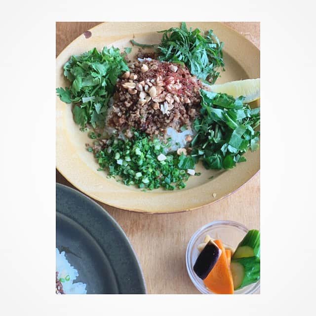 前田ゆかのインスタグラム：「噂どおり。 レモンを絞っていただく エスニックスパイスが効いた そぼろカレー。 そのお味は 文句なしにおいしかった！  #oxymoron #curry #coriander」