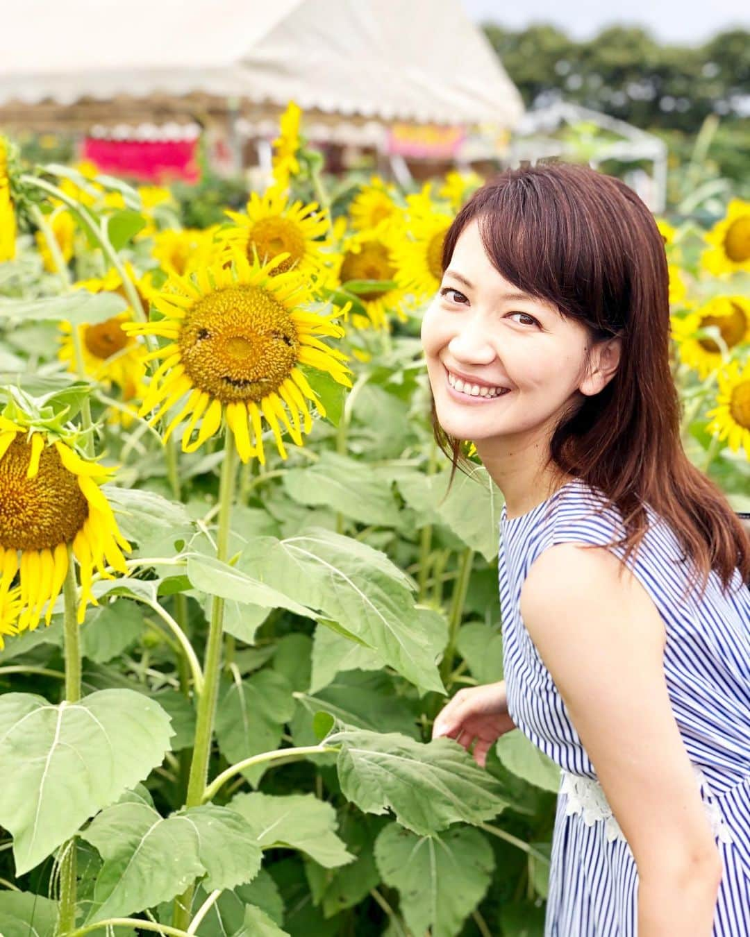 小倉星羅さんのインスタグラム写真 - (小倉星羅Instagram)「にこちゃんひまわり🌻🐝 ギリギリだったけど一面のひまわりを見られて幸せでした😆 . もちろんバーチャル高校野球で決勝戦見ながら⚾️笑 あー夏も終わっちゃうな😢 . #ひまわり🌻 #ひまわり畑 #清瀬ひまわりフェスティバル」8月24日 18時16分 - seira_ogura