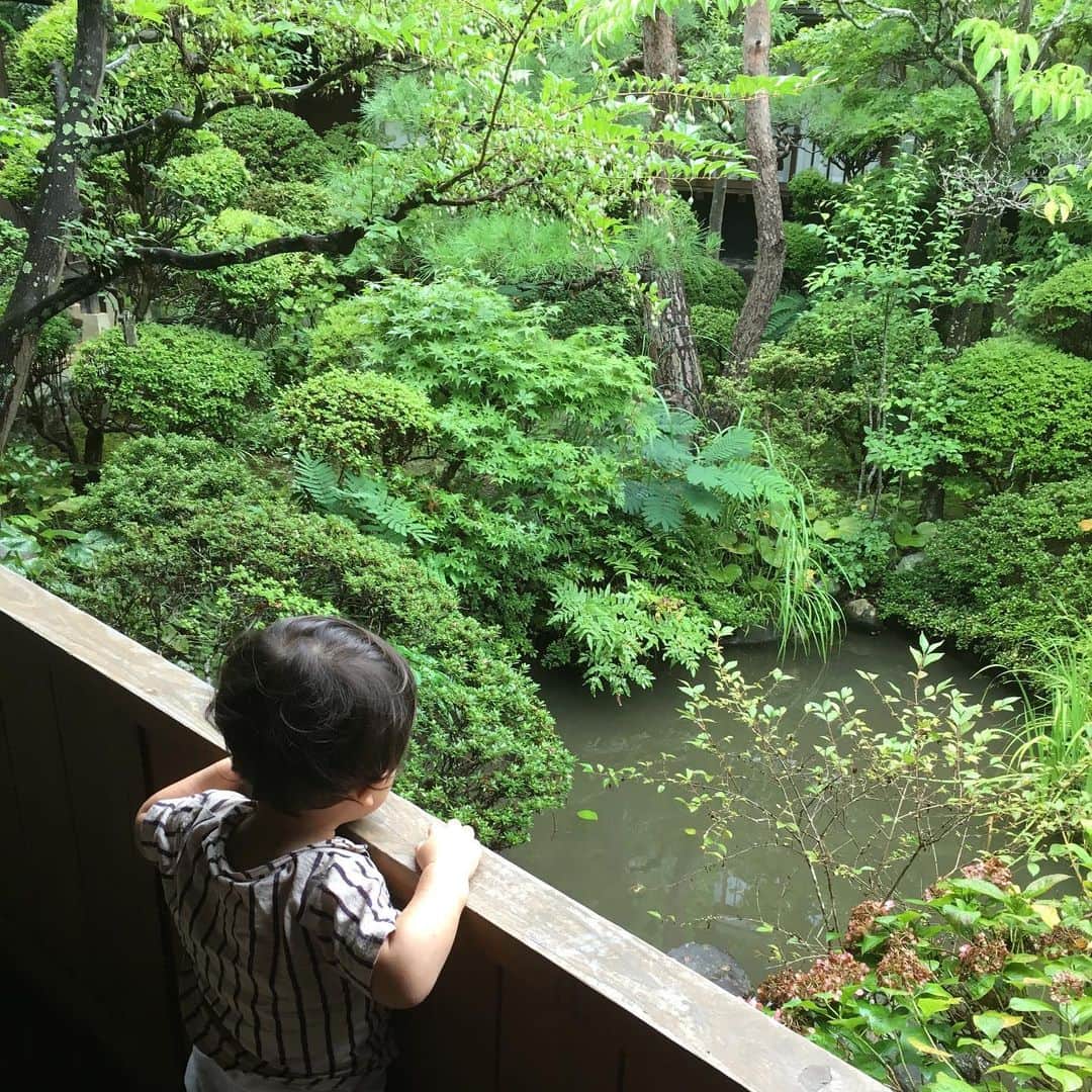 島崎直也のインスタグラム：「アメンボに興味津々  #2歳 #男の子 #kids」