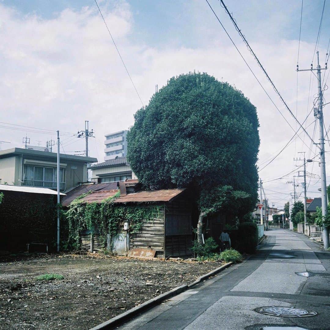 小宮山桂のインスタグラム