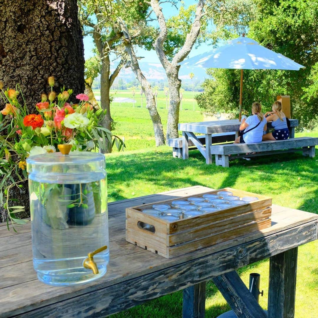 松村太郎さんのインスタグラム写真 - (松村太郎Instagram)「#ScribeWinery #Sonoma」8月24日 19時23分 - taromatsumura