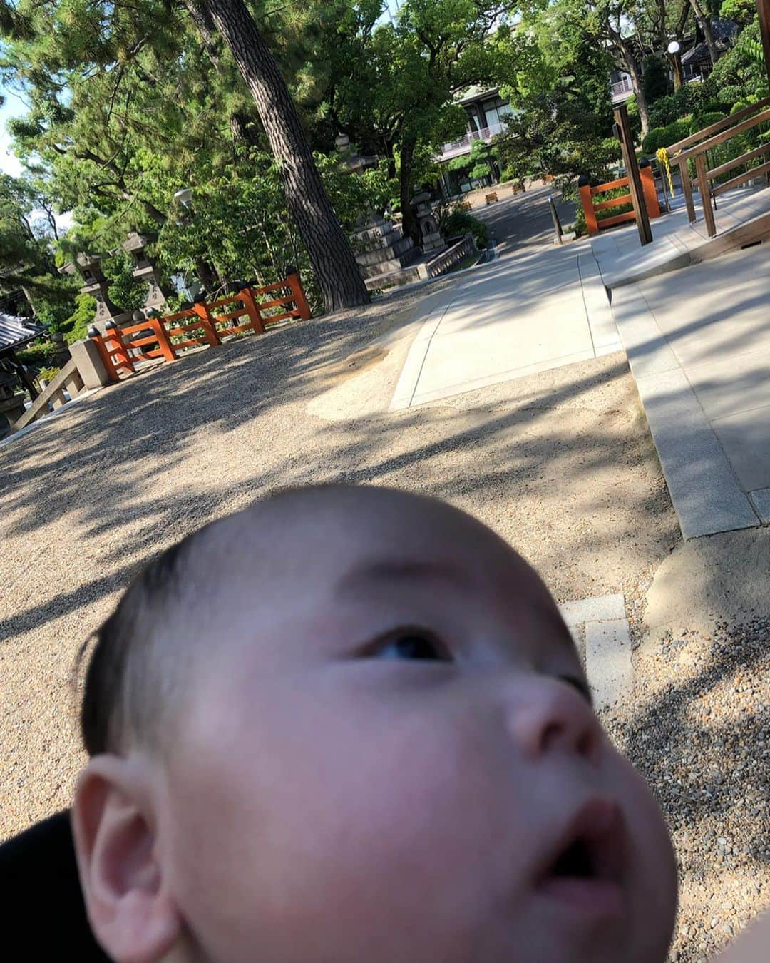 凰津りささんのインスタグラム写真 - (凰津りさInstagram)「先日、住吉大社へ行って参りました⛩ . . 利直が生まれてからまだ一度もご挨拶に行けてなかったので、 急遽予定変更して行って参りました😊⛩ . 挙式を住吉大社で出来たこと、本当に良い思い出で、毎年結婚記念日には行ける時はお参りに行ってました。 . 私のウェディングプランナーをして下さった方にも突然だったにも関わらずお会い出来たのも嬉しかった❤️ . しかも同期のお母さんなので、 嬉しさ増し増しっ⭐︎ . 今日は赤トンボも飛んでたし、 ツクツクボウシも鳴いていたし、 夕暮れには虫の声も、、、 . 少しずつ夏も終わる~ 利直も4ヶ月ですわ。 . #挙式 は #神社  #住吉大社 は #我が家の出発点 #息子も初参り #秋 ですな」8月24日 19時37分 - outsu.risa95