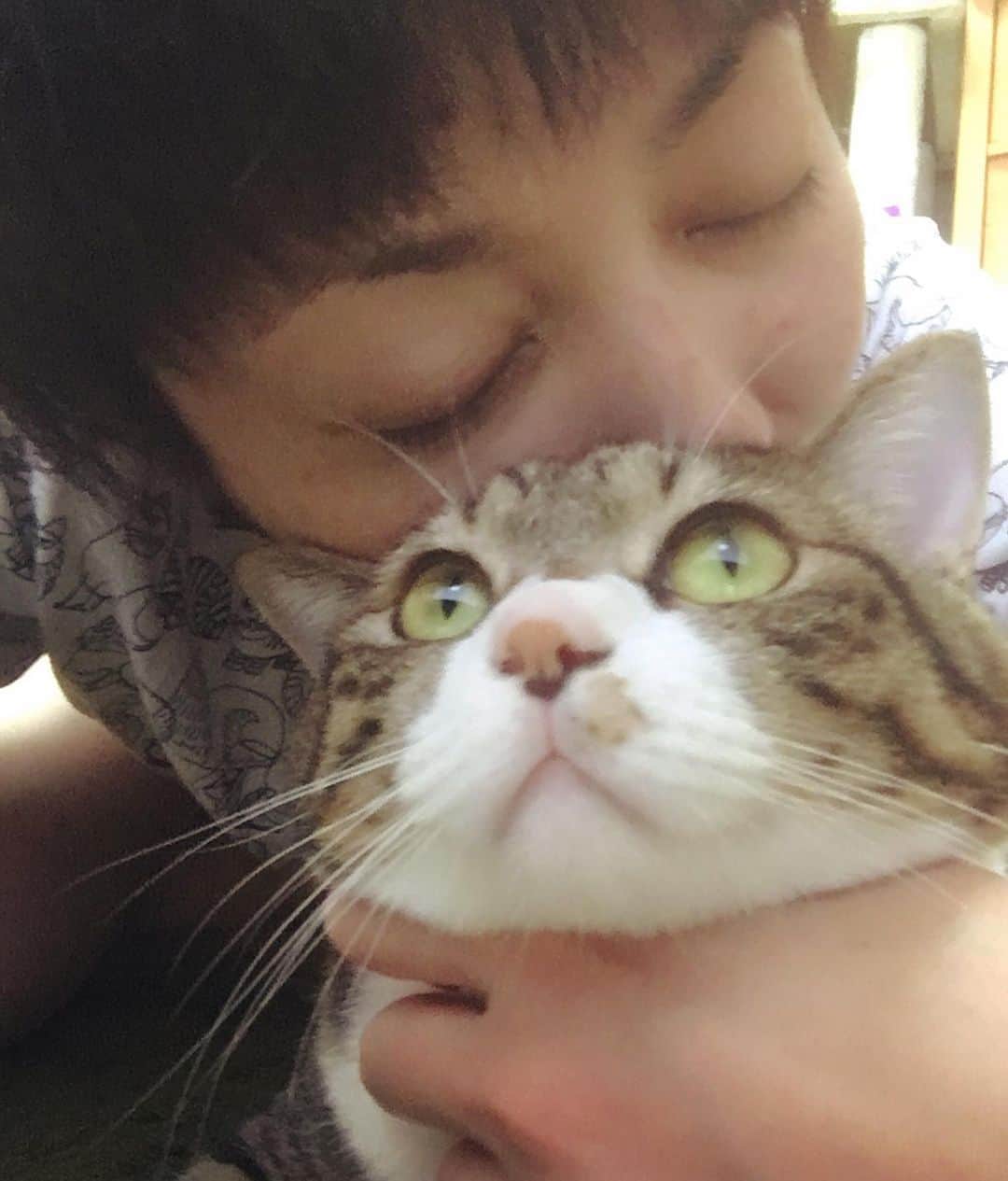 野本かりあのインスタグラム：「喉を触られるのが、気持ち良いものだと知った、2歳半位のルカ。 遅いの？早いの？  #lukarly #にゃんすたぐらむ #catsofinstagram」
