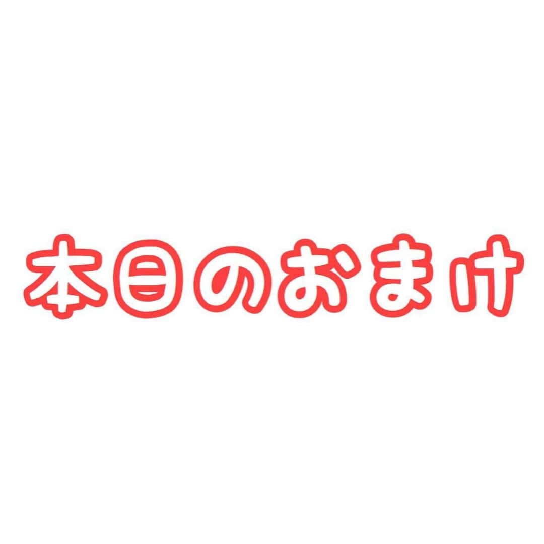 セロリさんのインスタグラム写真 - (セロリInstagram)「【ムクムクちゃん】 お風呂に入ったことでいい香り（期間限定）になりました。 ムクムク感も増しました。 また楽しみな映画が出来ました。 日本での公開はいつかなぁ。。。 #maltese #マルチーズ #わんわん物語 #ladyandthetramp #実写版 #5枚目は奥さんの切ってる野菜狙い中 #malteseofinstagram #maltese101 #malteser #malteseofficial #maltesedog #dog #instadog #dogstagram #dogoftheday #doglovers #instapet #adorable #ilovemydog  #ペット #わんこ #ふわもこ部 #犬のいる暮らし #いぬら部  #いぬすたぐらむ」8月25日 6時43分 - celeryrabbit