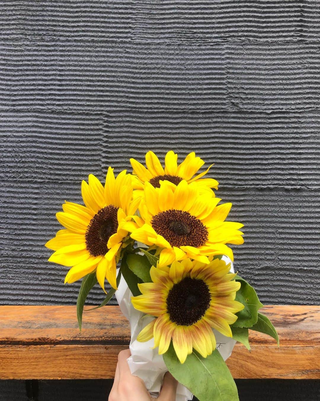 平木愛美のインスタグラム：「🌼 #manaminflowers  昨夜、ただいま！！！大阪の実家にて。  愛が溢れてやまない夜🌜 気持ちが心がとまらなくて 眠れなくなってしまいました。  人間って素晴らしいなと思う瞬間。神秘的で美しい。  大切な人の、命を授かったというビッグニュース！！！ 最初は思ってもおらず、一緒にうちに泊まりにきてくれて、ベッドで眠ろうとするおやすみ前の真っ暗ななか、サプライズでとつぜん渡されたエコー写真に全然気づかず…  ホラー写真でおどかされたと思い、叫んで投げたわたし！！！（最低）（リアクション大きいんです。普段からよく日常でドッキリかけられたりすること時々あって。笑笑）  落ち着いて…おや、なんかちがうぞ！？！え！え！？！えええええ！！！！！！ とそこからはもう感動で。涙。 （大切なもの投げてしまってごめんなさい）  しあわせです。  最高です。産まれてくる天使、楽しみです。  母子ともに元気に、がんばれ！！！出産！！！！！ . 大切な大阪、心がきゅっとhappyな気持ちに！！ 皆さんの心の動く瞬間は、どんなときですか？☺︎ . #大阪 #愛 #愛美ごころ」