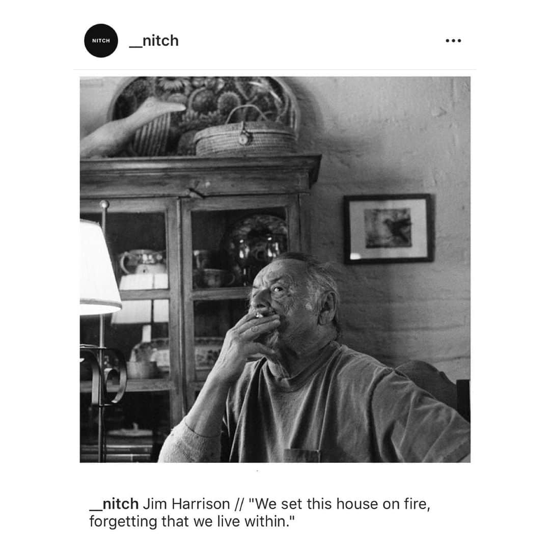 ナタリア・コルドバ・バックリーのインスタグラム：「“We set this house on fire forgetting that we live within...” Ain’t that the truth.」