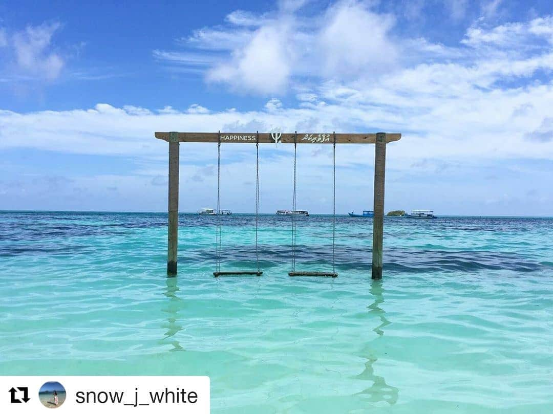 東京カメラガールズのインスタグラム