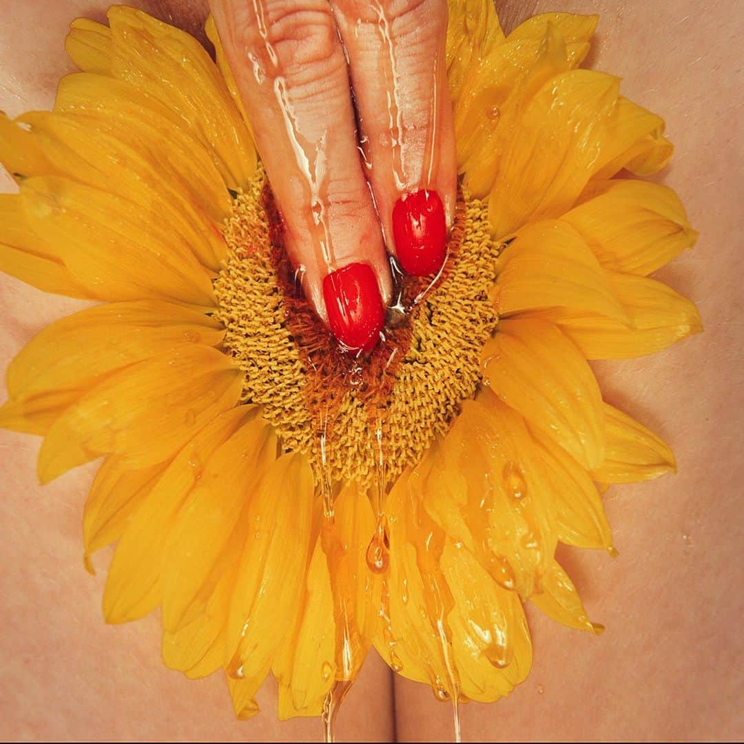 タイラー・シールズのインスタグラム：「Sunflower. Age allows you a certain knowledge, knowledge allows you a freedom and freedom let’s you live forever. My 91 year old neighbor came over today to tell me he was proud of me, not for anything he saw on the internet he doesn’t have it, not even for my photos, but for my freedom, he said the fact I am able to make whatever I want is a freedom he didn’t have until he was 85, he worked with everyone from Howard Hughes to Michael Jackson and he told me I was the richest person he ever met, rich with life. It was an amazing perspective. It’s okay to be daring as long as you dare. Would you hang this on your wall? What does this photo say to you?」