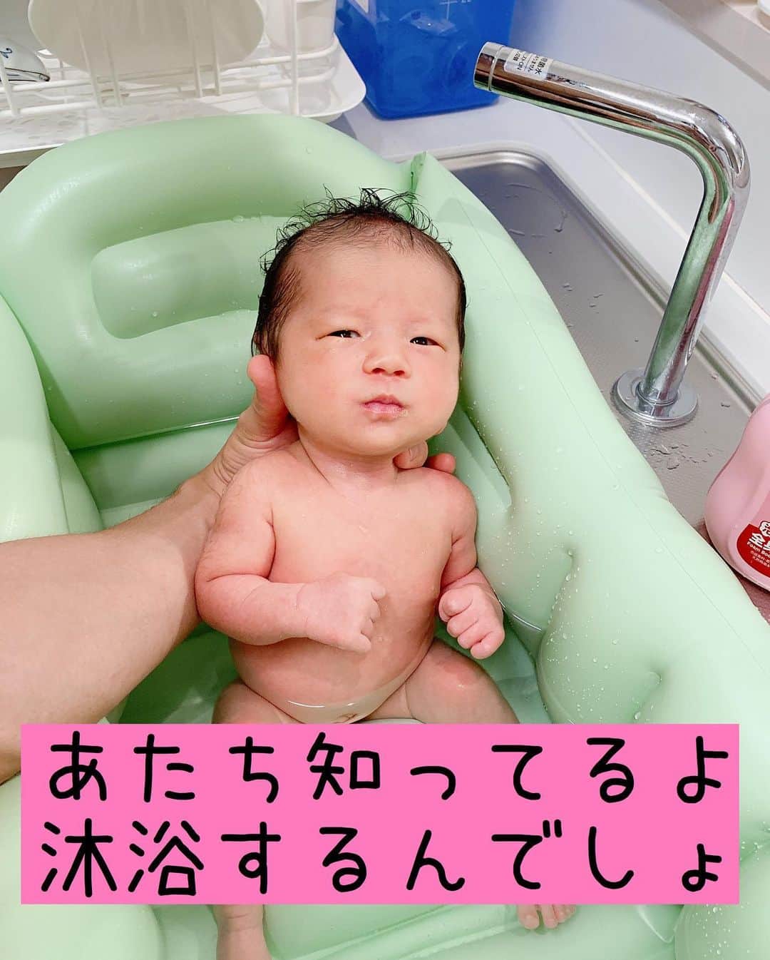 しほの涼のインスタグラム：「沐浴で泣かずに我慢が出来るようになった娘さん。 顔が面白くて面白くて、毎晩笑わせていただいてます😂😂笑笑 最後の写真の顔よwwア◯の坂田師匠風w 頑張っててエライね😂💕 #ベビスタグラム #赤ちゃん #赤ちゃんのいる生活 #赤ちゃんのいる暮らし #沐浴 #沐浴タイム #沐浴デビュー #沐浴好き #ベビフル #ママリ #面白画像 #面白い画像 #新生児 #新生児あるある #新生児写真　#スマイル育児　#子育てグラム#笑神娘さん」