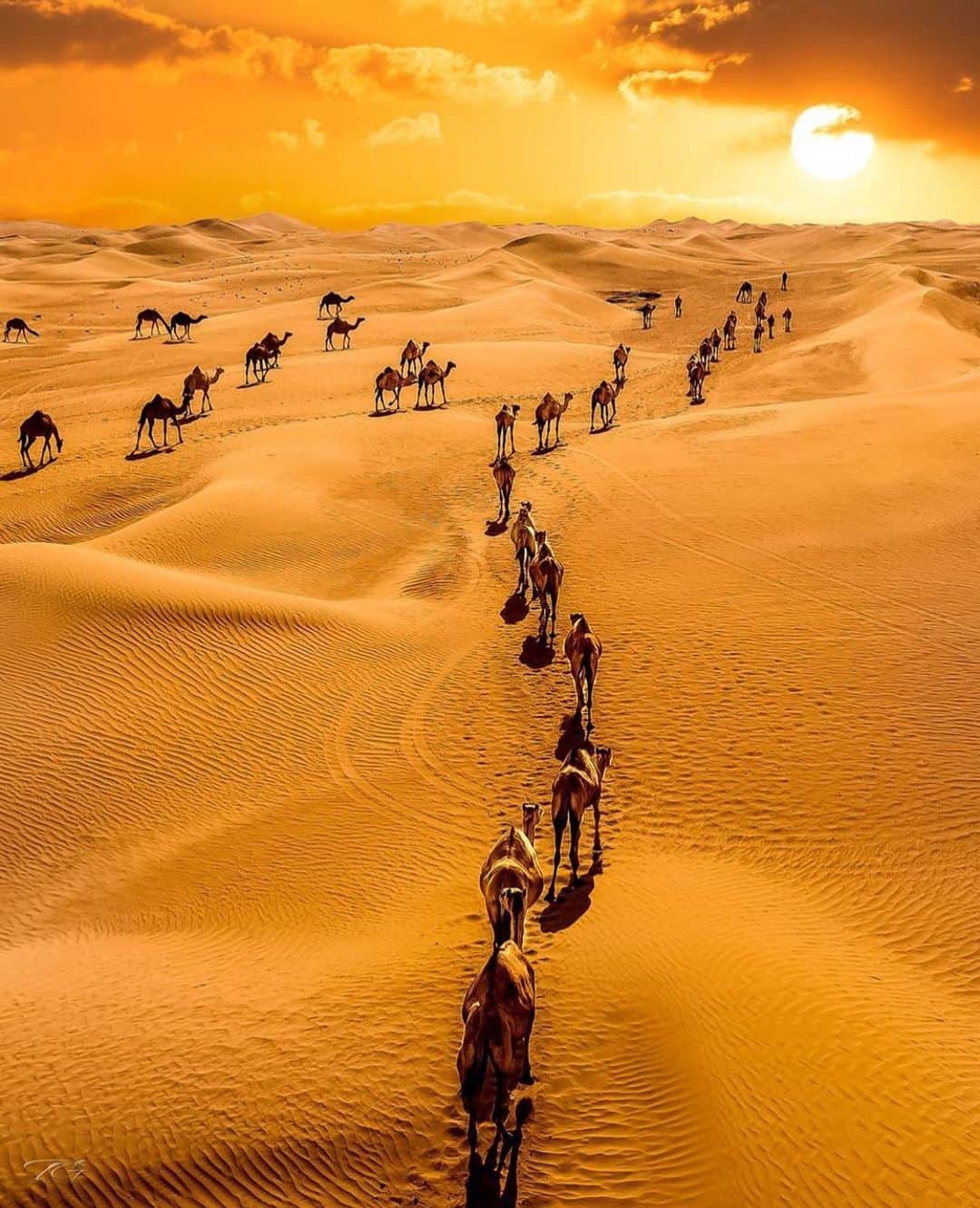 ドバイのインスタグラム：「#Dubai Sunrise ☀️ #دبي 📷:@tgfromdubai」