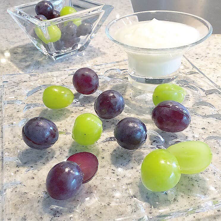 榊山敬代のインスタグラム：「🏮🍇… ・ 週末朝時間は早速 ぶどうモーニング ・ #ごちそうさまでした ・ ぶどうは半分にと 切っておきますと  つるんと身が食べれて 手が汚れにくいところ 工夫してみましたの巻  最近果物は痒くなるので お休みしてましたけれど  手作りヨーグルトと マヌカハニーは毎朝 の習慣にて実行中也  #毎日習慣 ・ ・  それにしましても やっぱり果物すき  朝ぶどう 昼ぶどう 夜ぶどう しあわせ  夏のおわりに ぶどうまつり  開催中 ・ 🏮🍇… ・ #食べ過ぎ注意 もう気にしない  週末の朝はコロコロイノシシさん寝坊中🐗💤… ・ ・ ・ ・ 🎐… ・ 個展のご案内  榊山敬代 日本画展 「浄」Kiyoshi 泥水に咲く蓮のように  会期：令和元年 9月21日(土)／22日(日)／23日(月・祝) 会場：池上大坊本行寺客殿１階　牡丹／桔梗之間  開館時間／午前10時から午後3時　 作家在廊時間／全日午後12時から15時 入場料／無料  アクセス／東京都大田区池上2-10-5（都営浅草線西馬込駅・東急池上線池上駅より、いずれも徒歩10分） http://www.hongyozi.or.jp/ ・ ・ ・  この度は 東京は池上大坊本行寺にて 蓮をモチーフに 福島県いわき市のお寺より ご依頼いただき制作しました作品をはじめ いわき市のお寺からインスピレーションを いただき 仏教の説法のひとコマであります 八正道をテーマにしました新作を お披露目させていただきます  三日間と短い会期ではございますが お彼岸の季節に 情緒あるお寺の景観の中で 日本画とこころ浄らかなひとときへ ご案内できればとおもいます  本行寺から本門寺へと続く境内では都心を忘れるような壮観な眺めもございます 展示の他にも見所豊かなお寺ですのでこの機会にゆっくりとご堪能ください  個展開催につきましてのこころざしや 新作に対しての姿勢などはブログなど 少しずつ更新していきたくおもいます  掲載作品 八正道〈弐〉正しい心を灯して生きるとき 〈正命・正精進・正念・正定 図〉 制作 平成31年／絹本・彩色 ・ ・ ---------------------------------------- ・ ・ ・ #morning #朝食  #おうちごはん #brunch #breakfast #fruit #healthy #food #頂き物 #grape #盛り付け #artist #cooking #果物 #頂き物 #🙏 #Muscat #マスカット  #巨峰  #日本画家 の #モーニングプレート #yogurt #お料理こんなもん #summer #猛暑 #夏休みの過ごし方」