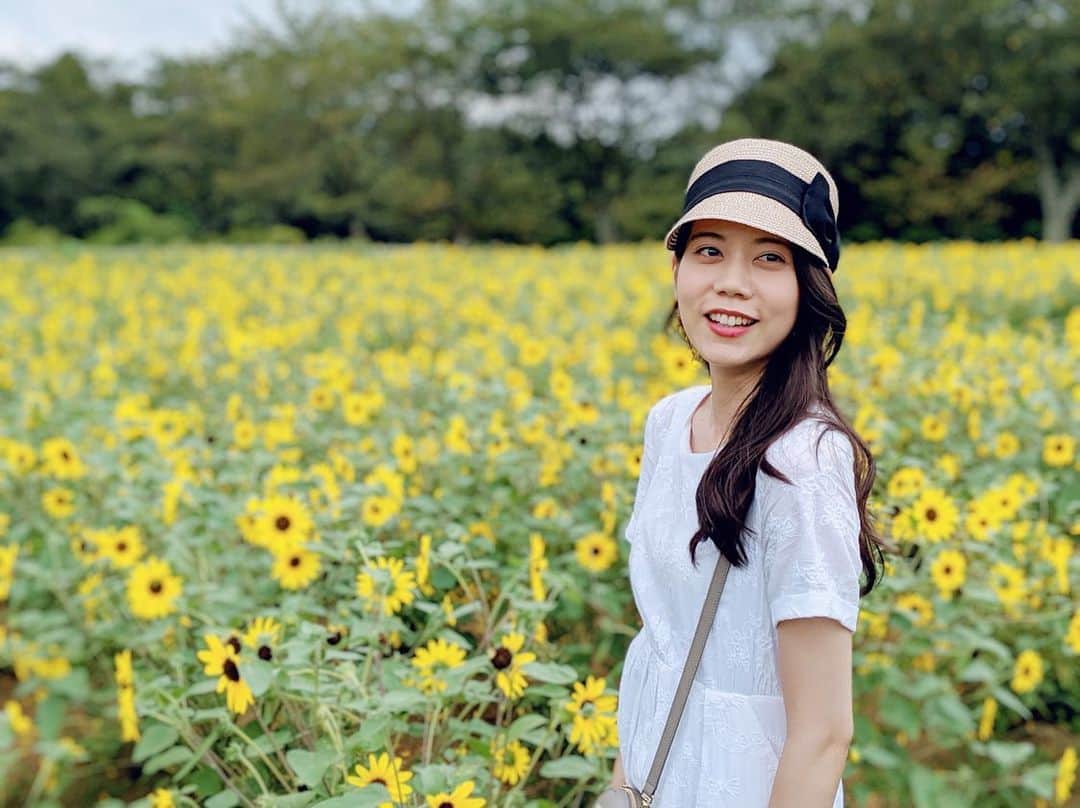 松山愛里のインスタグラム：「🌻 #成田ゆめ牧場#ひまわり畑」