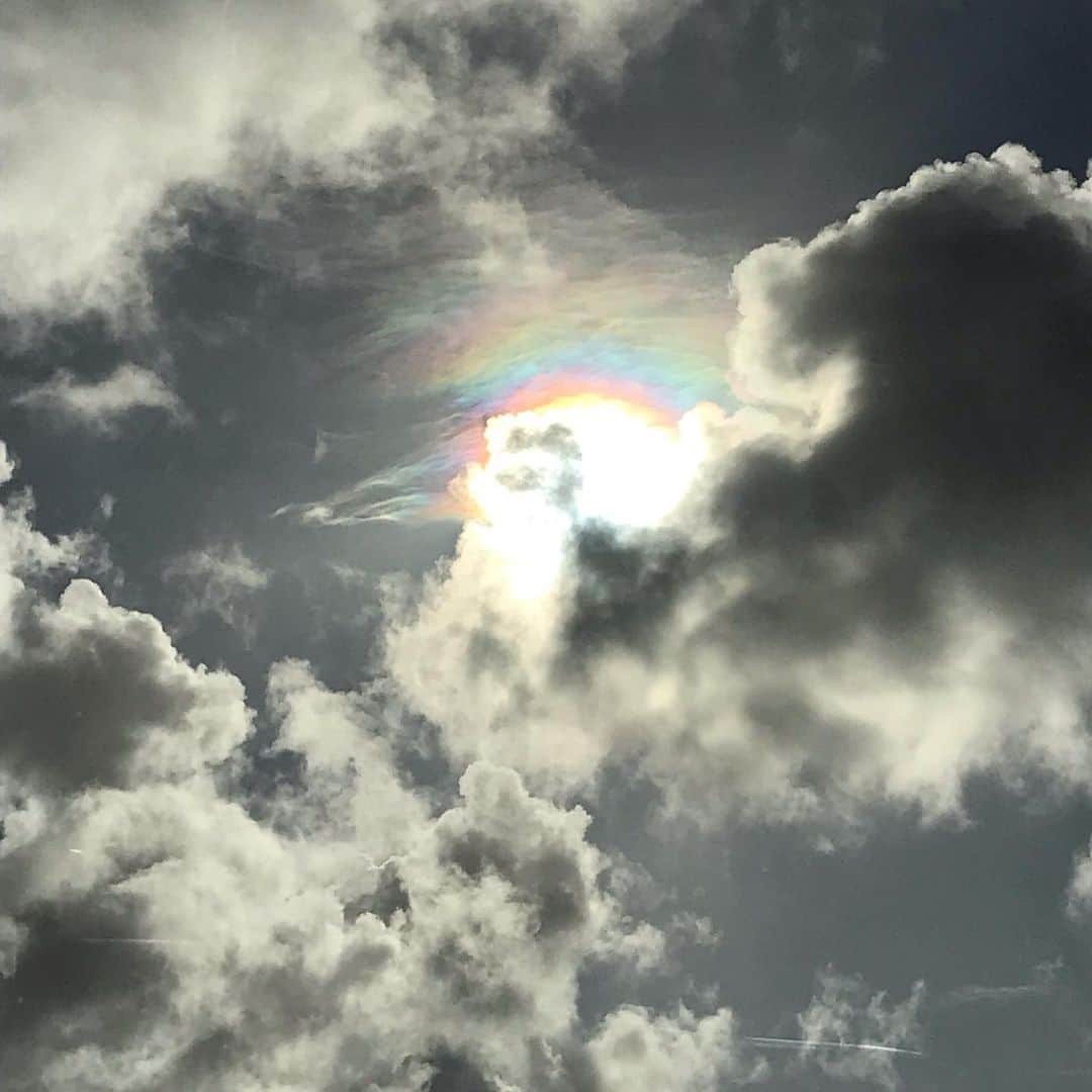 のインスタグラム：「彩雲。  幻想的で、果敢なさを纏った 贅沢な時間でした。  #彩雲」