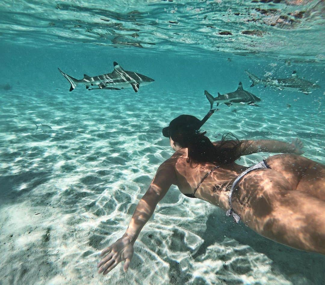 マッケンジー・ダーンさんのインスタグラム写真 - (マッケンジー・ダーンInstagram)「The Tahiti pro teahupo’o is on right now and I am missing my trip there last year!!! One of the best places I have ever been!」8月25日 6時54分 - mackenziedern