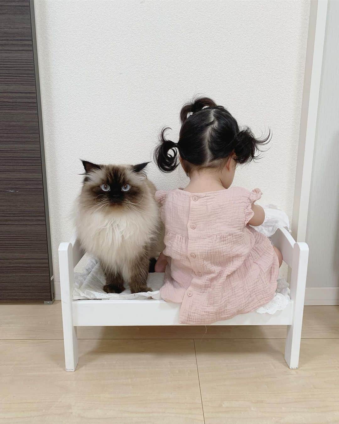 plumeのインスタグラム