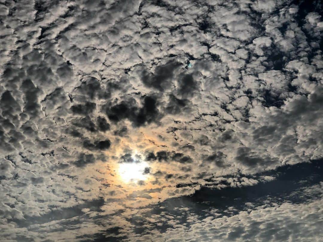 のインスタグラム：「Good #morning #本日 の #空 #sun #earth #🇯🇵 #おはよう」