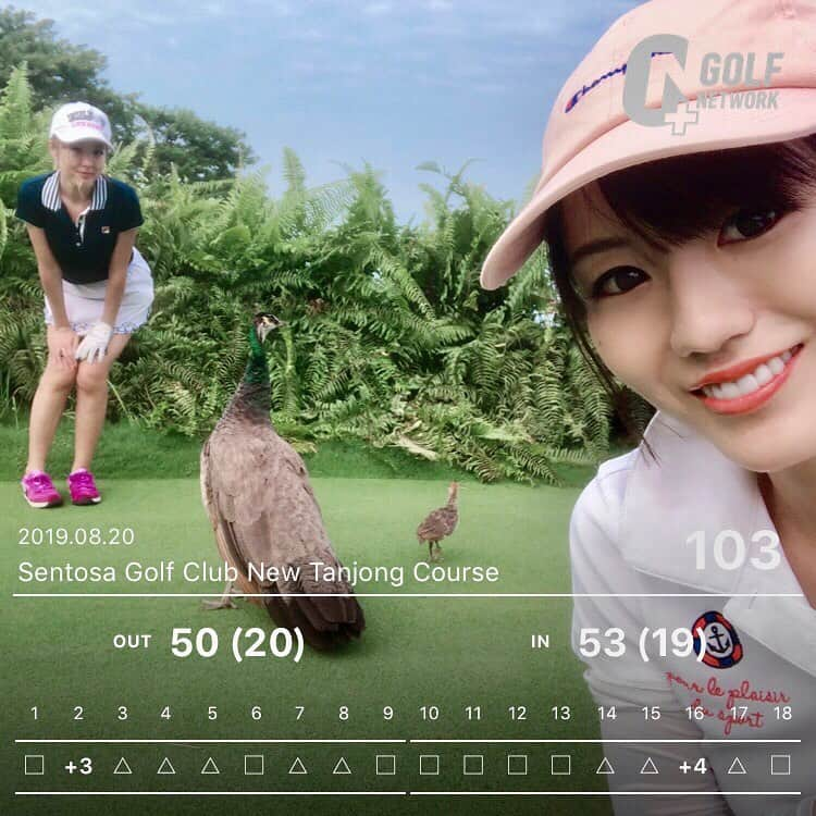 にゃんさんゴルフさんのインスタグラム写真 - (にゃんさんゴルフInstagram)「. . レンタルクラブでラウンド🏌️‍♀️ パターが#ScottyCameron だったんだけど わたしには合わなかったみたいww パター数39てやばめw . . パーも取れてないポンコツな日🤣🤣 . . 動物園みたいで 楽しかったのでおっけ〜笑 . . #シンガポールゴルフ#100叩きの刑#レンタルクラブ#スコッティキャメロン#動物園#セントーサゴルフクラブ#セントーサ島#タイトリスト#ゴルフ女子#旅行大好き#golfgirl #ladiesgolf #golfhotties #golfbabes #golflife #golfstagram #japanesegirl #lovegolf  #golfer #ゴルフ大好き#instagolf #スポーツ女子 #골프 #모델 #한국  #高尔夫球 #vg_fashion#summergolf」8月25日 8時30分 - miiiii0228