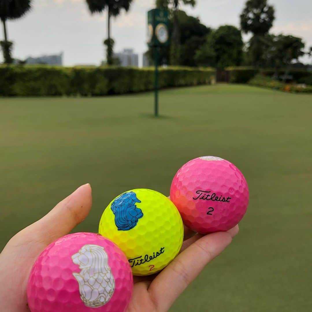 にゃんさんゴルフさんのインスタグラム写真 - (にゃんさんゴルフInstagram)「. . レンタルクラブでラウンド🏌️‍♀️ パターが#ScottyCameron だったんだけど わたしには合わなかったみたいww パター数39てやばめw . . パーも取れてないポンコツな日🤣🤣 . . 動物園みたいで 楽しかったのでおっけ〜笑 . . #シンガポールゴルフ#100叩きの刑#レンタルクラブ#スコッティキャメロン#動物園#セントーサゴルフクラブ#セントーサ島#タイトリスト#ゴルフ女子#旅行大好き#golfgirl #ladiesgolf #golfhotties #golfbabes #golflife #golfstagram #japanesegirl #lovegolf  #golfer #ゴルフ大好き#instagolf #スポーツ女子 #골프 #모델 #한국  #高尔夫球 #vg_fashion#summergolf」8月25日 8時30分 - miiiii0228