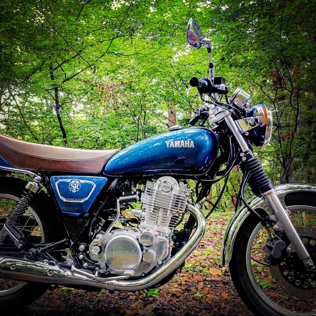 ヤマハ バイクさんのインスタグラム写真 - (ヤマハ バイクInstagram)「森の中に 昔から住んでる〜♪ 森林浴したいなぁ…🌲✨ Let’s have a relaxing weekend in the forest with YAMAHA motorcycle.  #SRが美しい #ヤマハが美しい #ヤマハと過ごす夏 #バイクのある風景 #森林浴 #バイクのある生活 #バイク好きな人と繋がりたい#sr乗りと繋がりたい #yamaha#sr400#yamahasr#blue#motorcycle#motolife#instamoto#instamotocycle#summer#forest」8月25日 8時53分 - yamaha_bike