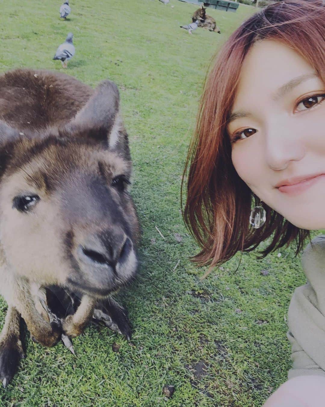 広野あさみのインスタグラム：「ぬーん☺︎」