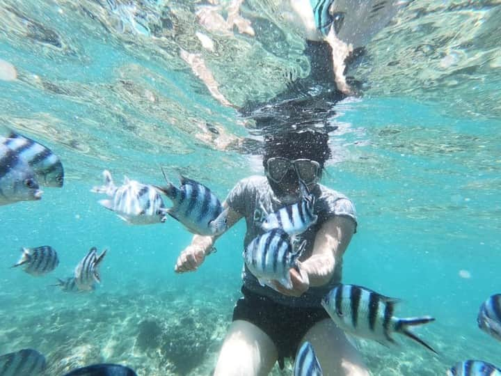 Taiken Japanのインスタグラム：「Dreaming of Okinawa's beautiful turquoise water? Ikei Island has the perfect spot for snorkeling!⁠ ⠀⠀⠀⠀⠀⠀⠀⠀⠀⁠ Photo credit: Annabell⁠ ⠀⠀⠀⠀⠀⠀⠀⠀⠀⁠ Read more about this and other Japan destinations & experiences at taiken.co!⁠ ⠀⠀⠀⠀⠀⠀⠀⠀⠀⁠ #okinawa #ikeiisland #okinawajapan #okinawatrip #okinawa_love #snorkeling #snorkelling #fish #ocean #beach #offthebeatentrack #lovejapan #japan #japan🇯🇵 #japantravel #japantravelphoto #japanese #japanlover #japanphotography #traveljapan #visitjapan ##japanlife #travel #travelgram #travelphotography #holiday #roamtheplanet #沖縄 #旅行 #海」