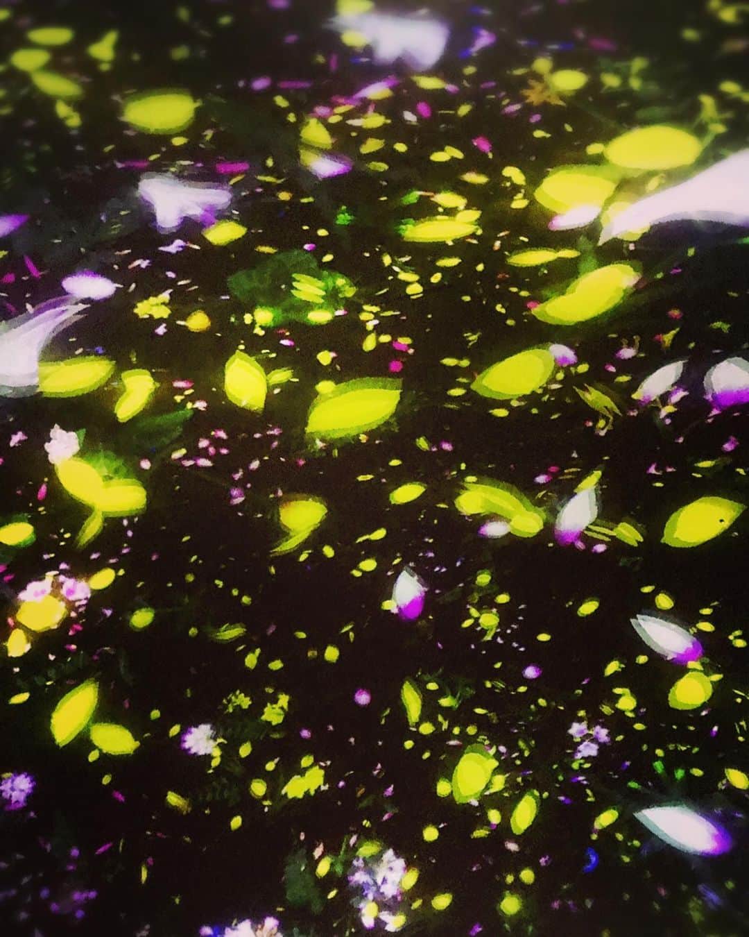 美川憲二さんのインスタグラム写真 - (美川憲二Instagram)「光と音と映像の不思議な空間に うっとりよ〜😍🌌✨✨✨✨✨✨ 今話題の チームラボプラネッツ TOKYO‼️ 凄いざんす〜😃💕💕💕💕💕💕💕💕💕💕💕💕 #teamlaboplanets  #豊洲  #光と音と映像の世界  #不思議な空間にワクワク  #美川憲二 #ものまね」8月25日 11時59分 - mikawakenji