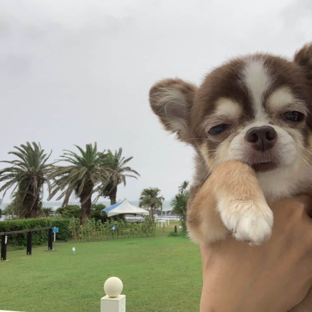 kotaro45さんのインスタグラム写真 - (kotaro45Instagram)「2019.8.25 (日) . 小太郎の夏休み🍉 . 今年は天気がイマイチだったけど やっぱりみんなでお出かけ 楽しかったな♡ . また来年もみんなで行こうね ♪ . . #小太郎の夏休み2019🍉」8月25日 12時13分 - kotaro45