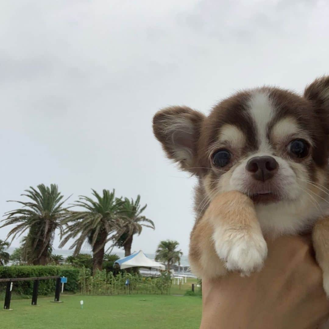 kotaro45さんのインスタグラム写真 - (kotaro45Instagram)「2019.8.25 (日) . 小太郎の夏休み🍉 . 今年は天気がイマイチだったけど やっぱりみんなでお出かけ 楽しかったな♡ . また来年もみんなで行こうね ♪ . . #小太郎の夏休み2019🍉」8月25日 12時13分 - kotaro45