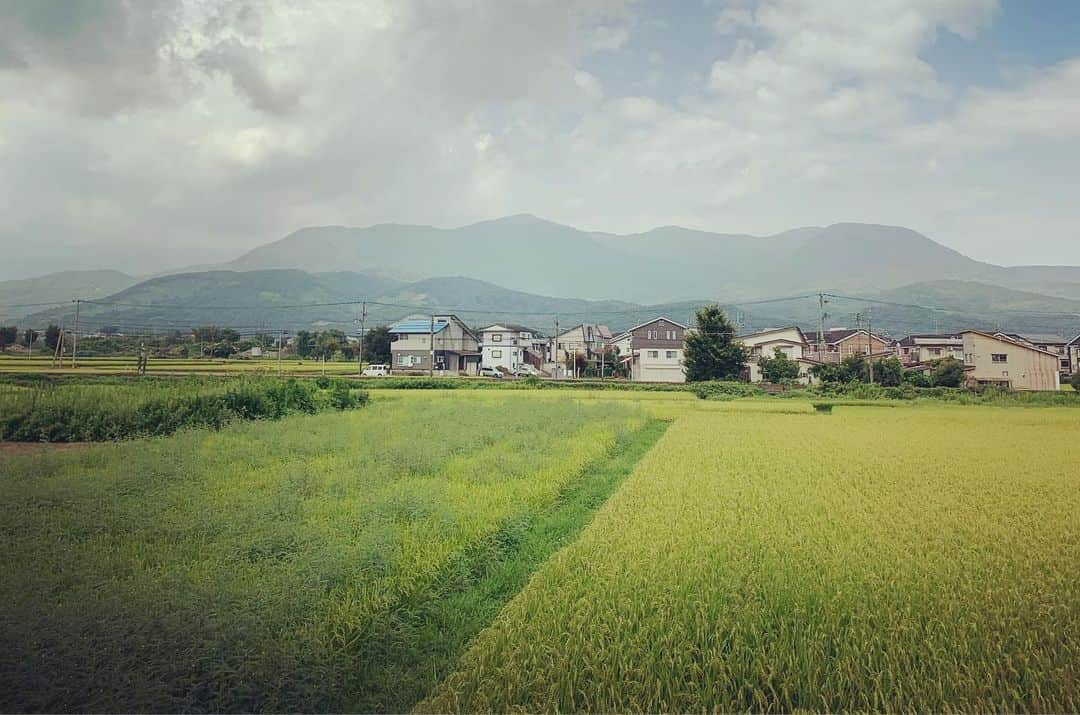 大抜卓人さんのインスタグラム写真 - (大抜卓人Instagram)「新潟県取材 DAY2‼️ 日本最古の映画館「高田世界館」へ😊 1911年に舞台用劇場として開館👍 5年には映画館業務も創業😆 明治建築を保全し 映写機📽も現役だ👍 中に入れば時が止まったよう😊 昨日はボヘミアンラプソディーの 応援上映だったとか👍 「とん汁たちばな」は 行列のできるお店😊 1日玉ねぎ100キロ😃 水を使わず玉ねぎから出る 水分だけで豚汁を作るとか😊 こんな濃厚でご飯のおかずになる 豚汁は初めて👍 2日目もご機嫌にスタート😊 #fm802  #ウエストナビステーション #西navi #高田世界館  #新潟県」8月25日 12時27分 - takutoonuki