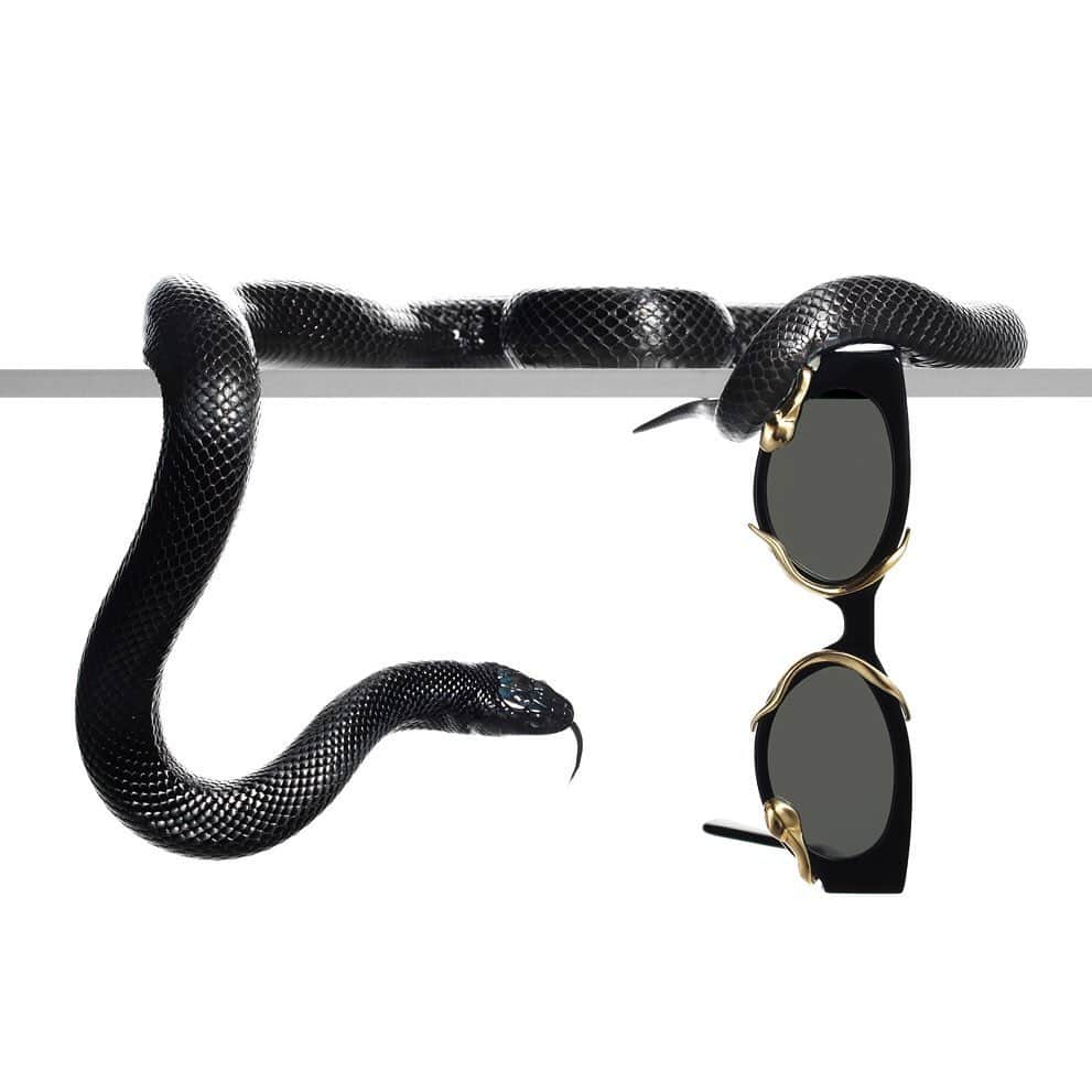 HYPEBEASTさんのインスタグラム写真 - (HYPEBEASTInstagram)「@hypebeaststyle: @gentlemonster and @alexanderwangny have reunited for a snake-themed collaboration. The new shades, called M.PRI$$, will release in two colorways, black with gold details and clear with silver details. Each pair takes on a cat eye shape and features two metal snakes, one wrapped around each eye. Both options will be available at Gentle Monster and Alexander Wang‘s websites on September 12 for $320 USD.⁠⠀ Photo: Gentle Monster」8月25日 12時46分 - hypebeast