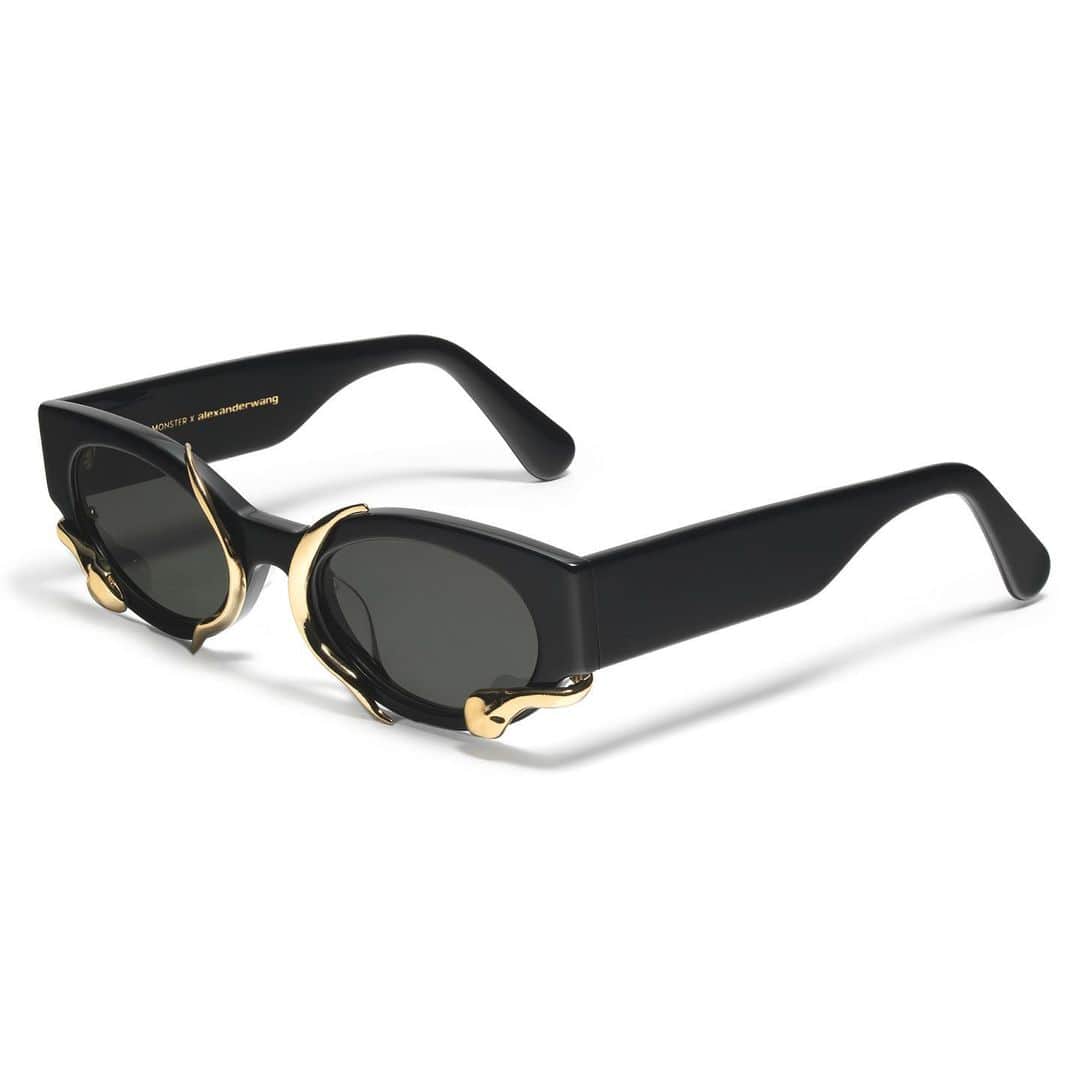 HYPEBEASTさんのインスタグラム写真 - (HYPEBEASTInstagram)「@hypebeaststyle: @gentlemonster and @alexanderwangny have reunited for a snake-themed collaboration. The new shades, called M.PRI$$, will release in two colorways, black with gold details and clear with silver details. Each pair takes on a cat eye shape and features two metal snakes, one wrapped around each eye. Both options will be available at Gentle Monster and Alexander Wang‘s websites on September 12 for $320 USD.⁠⠀ Photo: Gentle Monster」8月25日 12時46分 - hypebeast
