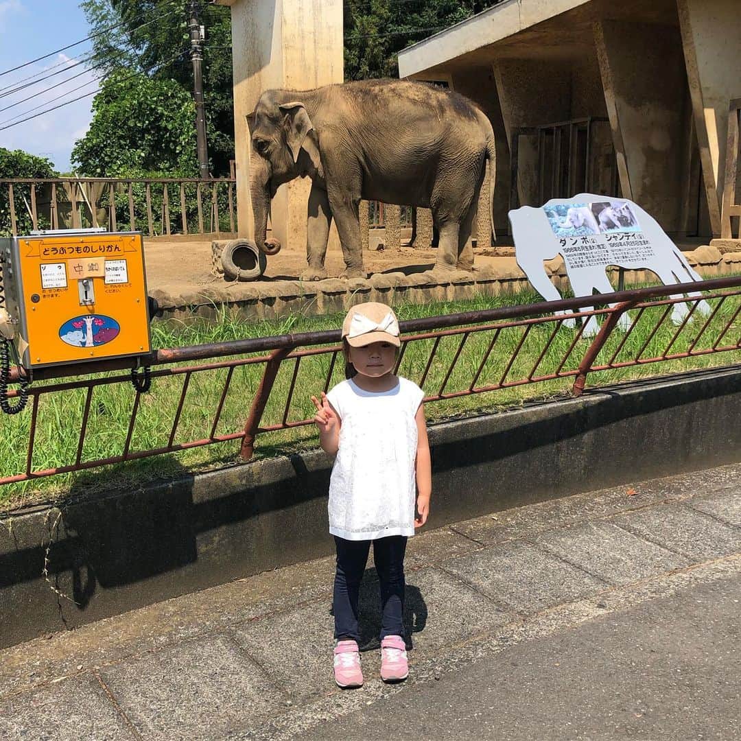 MUROさんのインスタグラム写真 - (MUROInstagram)「日本平動物園に来ていマス♪ #日本平動物園 #チャンノノ」8月25日 12時53分 - dj_muro