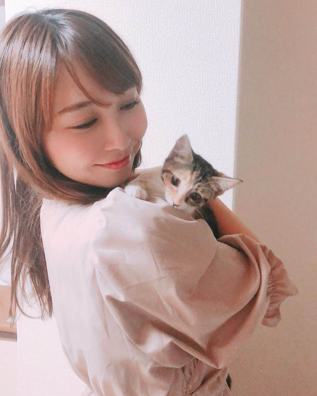 長久梨那さんのインスタグラム写真 - (長久梨那Instagram)「‪． 家族が増えました❤️‬ ‪なぜかまた三毛猫🐱‬ ‪名前は【ブッシュ･ピー助】です🐱✨‬ ‪ピー助は保護猫ちゃんで、実は1ヶ月前からお家にトライアルで来てたんだけど、いろいろありようやく我が家の子になりました🐱💓‬ ‪ちーたんとはまだ絶不仲🐱💦‬ ‪早く仲良くなってほしい💦‬ ‪よろしくにゃ💗‬ ‪#猫 #保護猫 #三毛猫‬ #ねこすたぐらむ #にゃんすたぐらむ #フォローミー #japan #cat #japanesecat #family #cute #happy #catstagram #catsofinstagram #instagood #instadaily #instagirl #instacat #followme #🐱 #❤️」8月25日 12時53分 - rinanagahisa