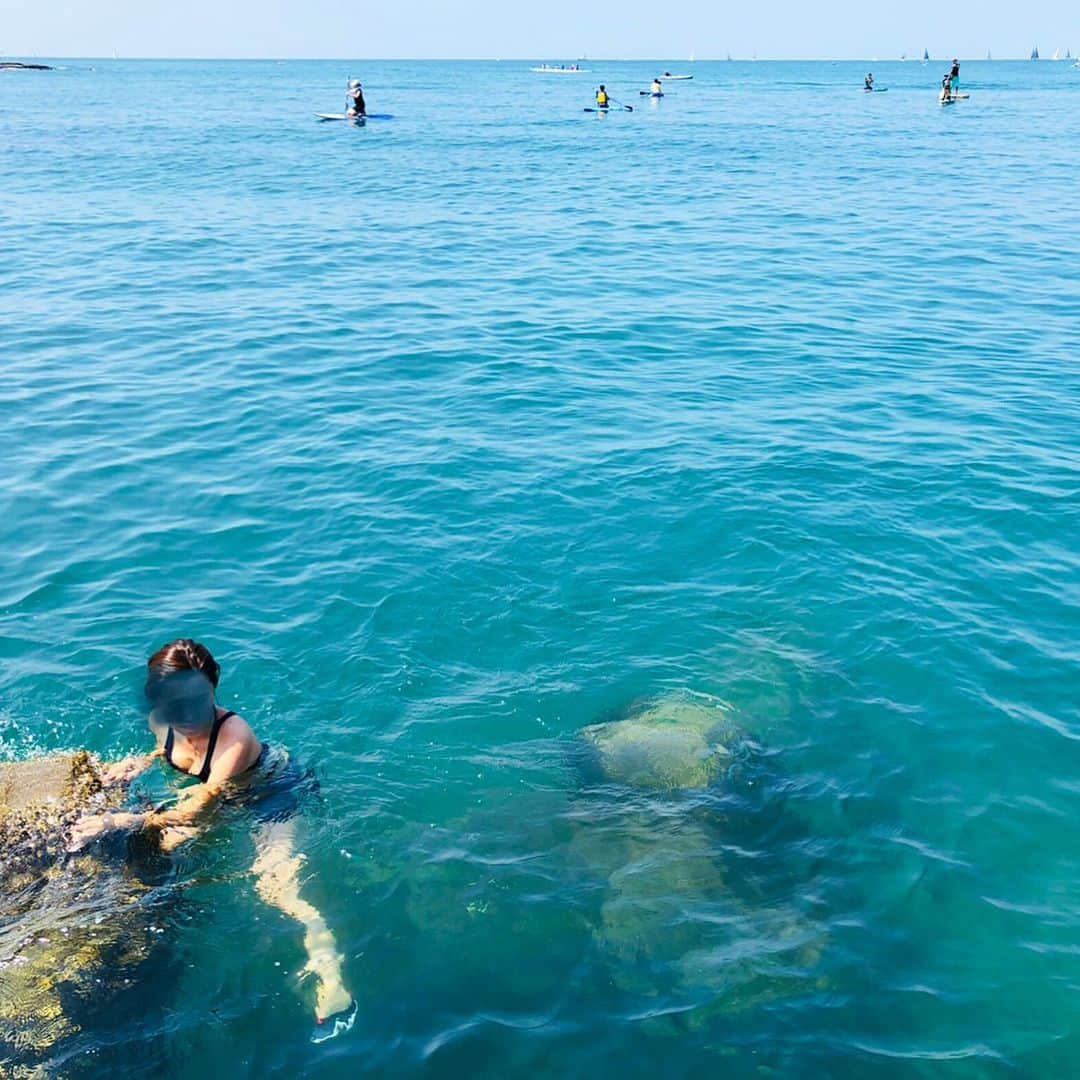 Hiroe Hiranoさんのインスタグラム写真 - (Hiroe HiranoInstagram)「最高に気持ちいいお天気🌞 今朝セラプル新商品のお披露目もして、一息。 @ceraple . そして、海へ❗️ さくっとトレーニングした後、海が澄んでてたから。 気持ち良くってずっと泳いでた🌊 ターコイズの魚もたくさん見れたし🐠🐠 シュノーケリングやサップしてる人多かった💫 . . さ、これから支度して。 葉山の仲間たちとワイワイお祭りへ🌻楽しみー❤️ まだまだ夏を楽しみますよー💚 . 素敵な週末を☺️ Have a wonderful day 🌱 #hayama #lifestyle #swim #海のある生活 #葉山ライフ #夏休み #summer #wellbeing #happiness #ウェルビーイング #ハピネス」8月25日 13時40分 - hiroe_hirano