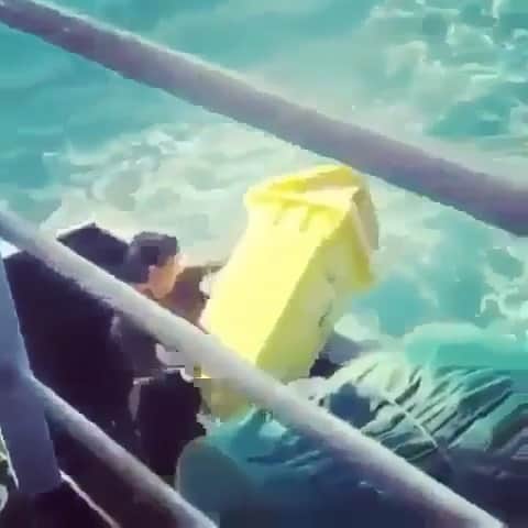 WildLifeのインスタグラム：「@save0cean is giving away stainless steel straws for FREE! LINK IN OUR and @save0cean’s bio! Studies are predicting that there will be more plastic in the ocean than fish by 2050. Video by unknown」