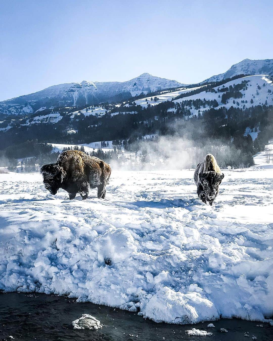 appleさんのインスタグラム写真 - (appleInstagram)「"No shot is worth damaging an area for. Our public lands are some of the few areas left with less human impact. I’ve made it my goal to teach other photographers how to practice #LeaveNoTrace and consider the impacts of our recreation. I have hope that there’s potential for a strong, natural world, if we care enough to preserve it.” @goparks #findyourpark #ShotoniPhone by Jason H. @jasoninthewilderness」8月26日 1時12分 - apple