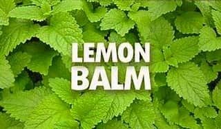 のインスタグラム：「8月26日限定風呂の日企画レモンバーム風呂開催🍋🛀﻿ ﻿ リラックスだけにとどまらず、﻿ 美肌やアンチエジングにも効果が期待できると言われております💆‍♀️💕﻿ ﻿ 湘南RESORT SPA茅ヶ崎店﻿ ﻿ ‥‥‥‥‥‥‥‥‥‥‥‥‥‥‥‥‥‥‥﻿ ☆お風呂料金☆﻿ ※通常利用時の料金となります。﻿ ※大人(中学生以上)の料金です。﻿ ﻿ ■湘南RESORT SPA茅ヶ崎店﻿ 750円﻿ ﻿ ■草加谷塚店﻿ 750円﻿ ﻿ ■八王子みなみ野﻿ 750円﻿ ﻿ ■横濱鶴ヶ峰店﻿ 600円﻿ ‥‥‥‥‥‥‥‥‥‥‥‥‥‥‥‥‥‥‥﻿ ﻿ #神奈川 #湘南 #茅ヶ崎 #岩盤 #レモン #ダイエット #あたため #レモンバーム #温泉好きな人と繋がりたい #クール風呂﻿ #竜泉寺 #温泉 #銭湯 #岩盤浴 #スーパー銭湯 #竜泉寺の湯  #日帰り温泉 #天然温泉 #お風呂 #美容 #健康 #リラックス #気分転換 #スパ #デート #仕事終わり #サークル終わり #お出かけスポット #休日の過ごし方 #女子旅」