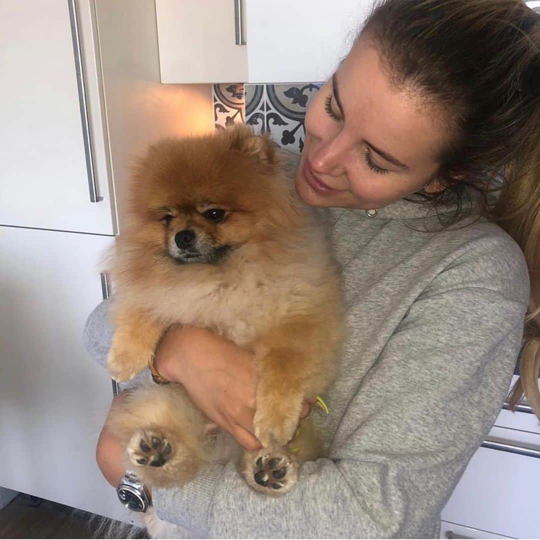 ジョージア・コウソウロウのインスタグラム：「My baby is 3!!! 😱🐒 I am so obsessed with him , I drive him mad!!! 🤣🙊 I love my little @monkey.the.pom so so much 🥰💞💖💖💖」