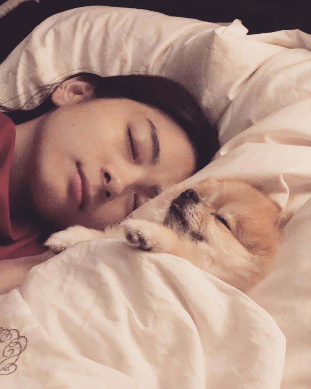 蒼あんなさんのインスタグラム写真 - (蒼あんなInstagram)「れいなともんちゃんの夏😂おやすみなさい😴笑 Nite⭐︎ . .」8月25日 18時42分 - twins_anna