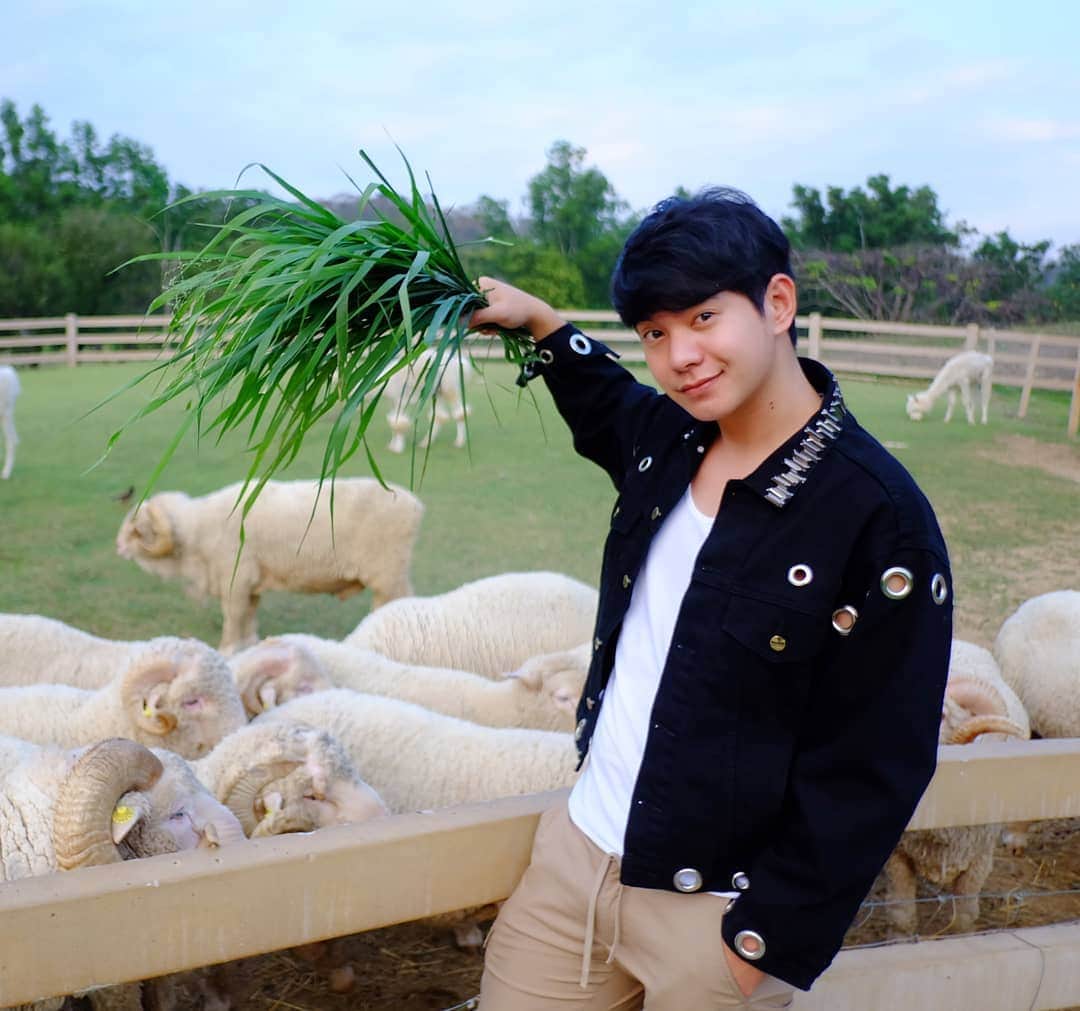アイス・サランユーのインスタグラム：「แก่🧓..เลี้ยงแกะ🐑 #เที่ยวทั่วไทยกับไอซ์ศรัณยู  #เขาใหญ่」