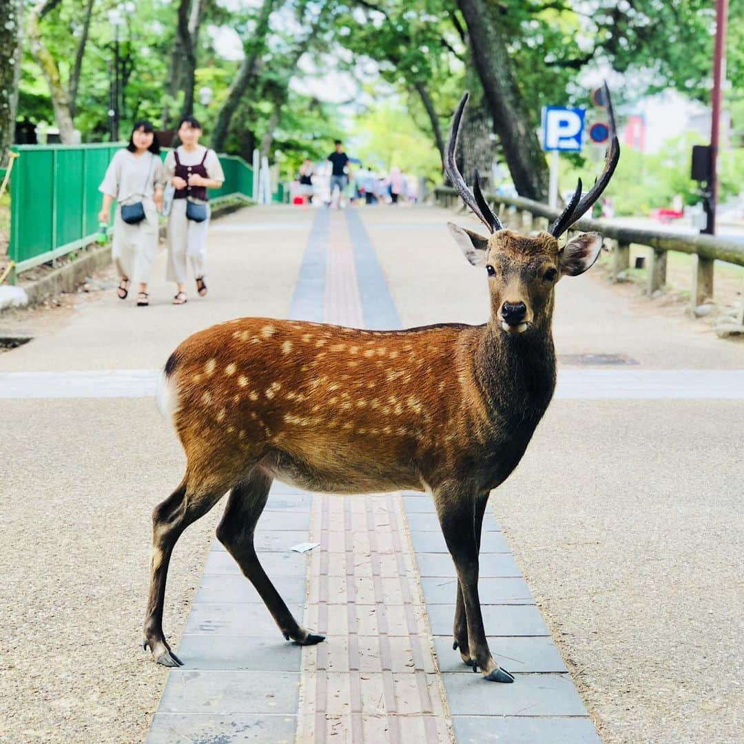 中川政七商店のインスタグラム